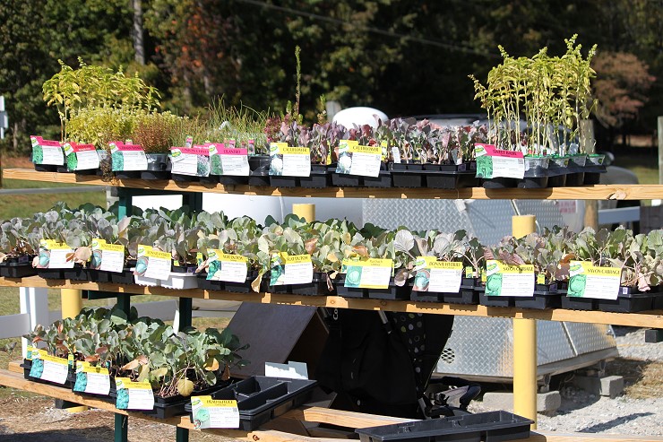Get your plants and Seeds to start your garden at Cherokee Feed and Seed in Ball Ground, GA
