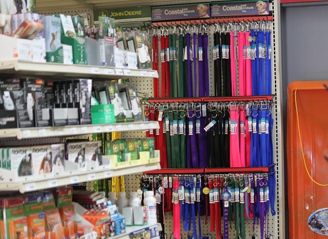 Dog and Cat Supplies at Cherokee Feed and Seed in Ball Ground, Georgia