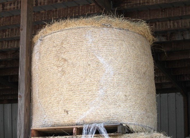 Round bales and square bales of quality hay at Cherokee Feed and Seed