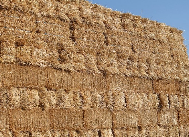 Straw and quality hay available at Cherokee Feed and Seed in Ball Ground, GA