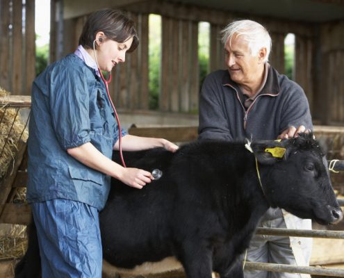 Cherokee Feed & Seed is a VFD Distributor