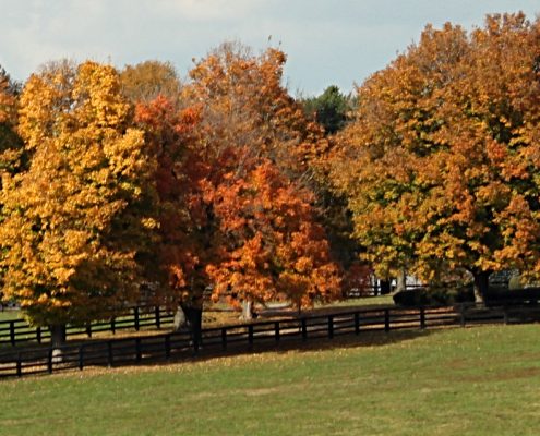 See pastures in the fall