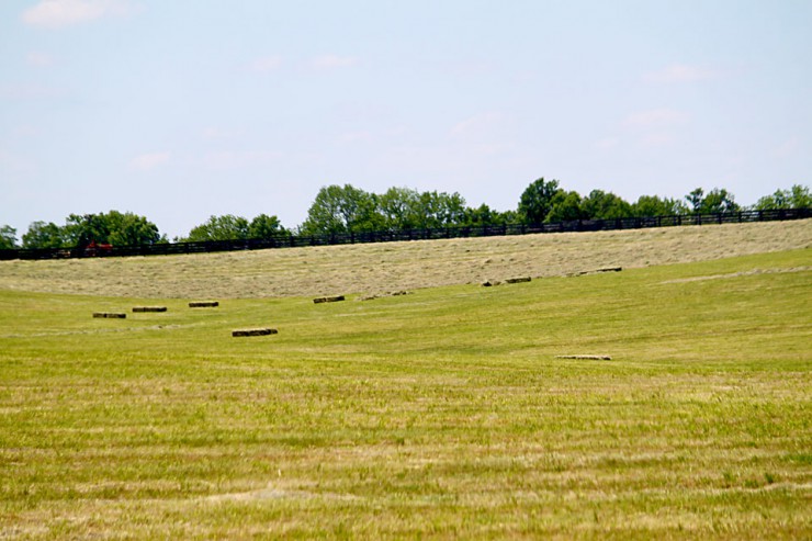 Fertilizer for Pastures and Hay Fields