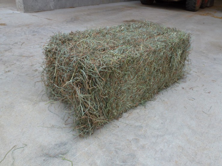 Cherokee Feed & Seed sells square and round bales in large and small quantities.