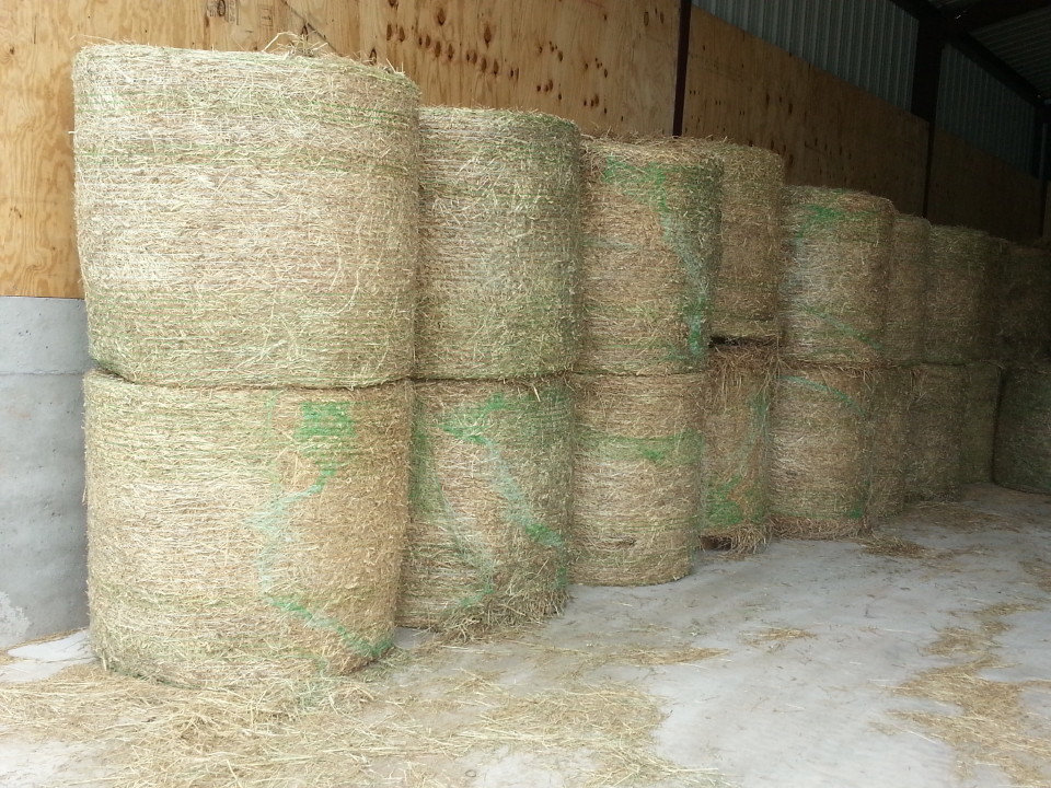Cherokee Feed & Seed sells square and round bales in large and small quantities.