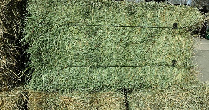 Organic Hay For Sale at Cherokee Feed & Seed