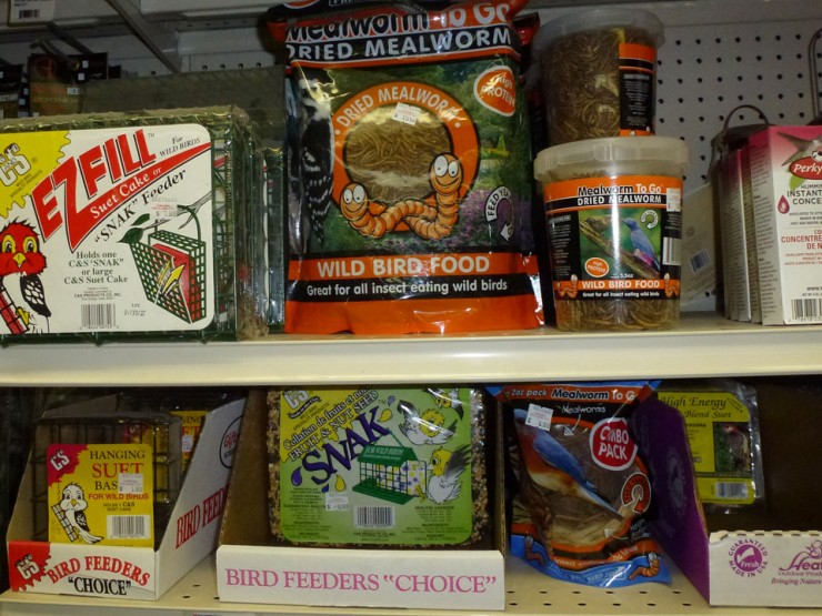 Wild Bird Feed, Mealworms and Suet - Available at Cherokee Feed & Seed