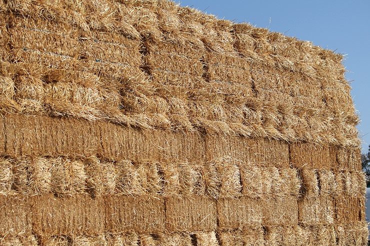 Straw and quality hay available at Cherokee Feed & Seed