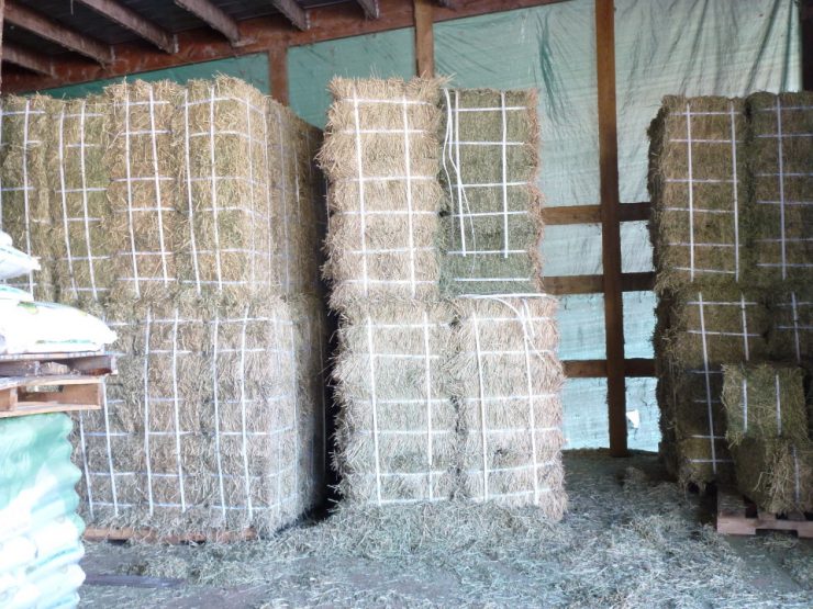 Cherokee Feed & Seed carries hay for all your livestock