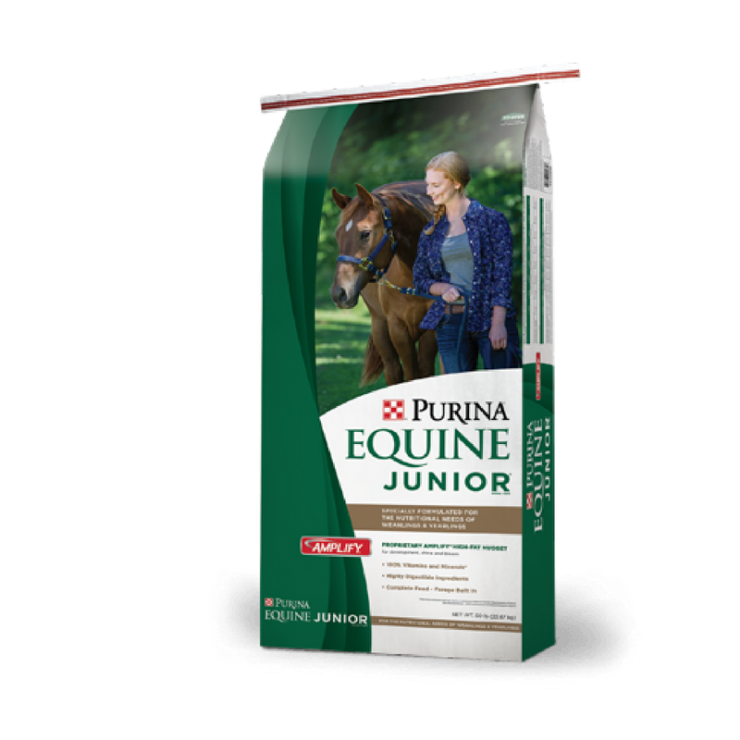 Equine Junior Horse Feed