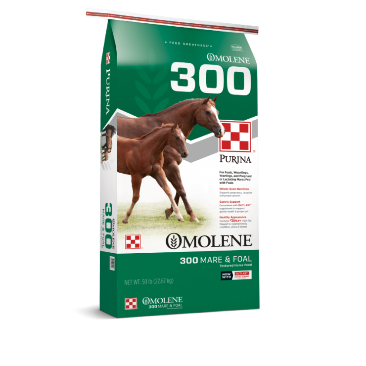 Omolene #300 Growth Horse Feed
