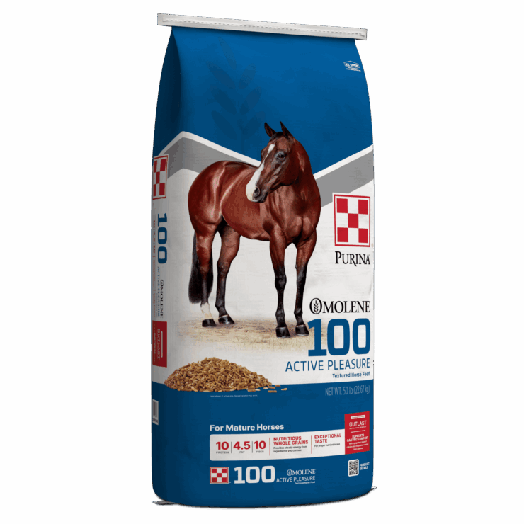 blue bag of Purina Omolene #100 Active Pleasure Horse Feed
