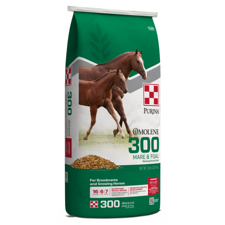 Green bag of Purina Omolene #300 Growth Horse Feed