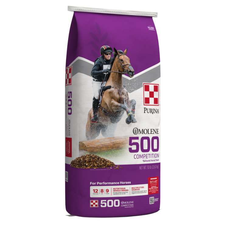 purple bag of Purina Omolene #500 Competition Horse Feed