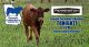 Georgia Cattlemen’s Association Meeting – Cherokee Feed & Seed – Pennington Seed