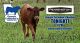 Georgia Cattlemen’s Association Meeting – Cherokee Feed & Seed – Pennington Seed