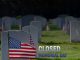 closed-memorial-day-cherokee-feed-and-seed-ga-fb-1