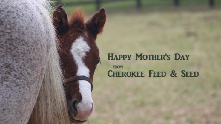 Happy Mother's Day from Cherokee Feed & Seed - Georgia