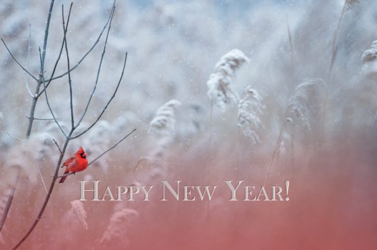 Happy New Year from Cherokee Feed & Seed in Georgia!