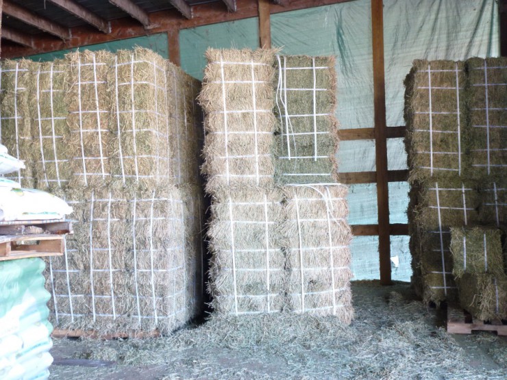 Round and square bales of hay at Cherokee Feed & Seed