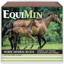 Southern States Equine Horse Mineral Block