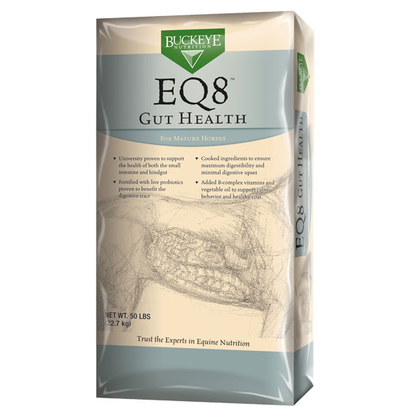 Buckeye EQ8 Gut Health horse feed is available at Cherokee Feed & Seed