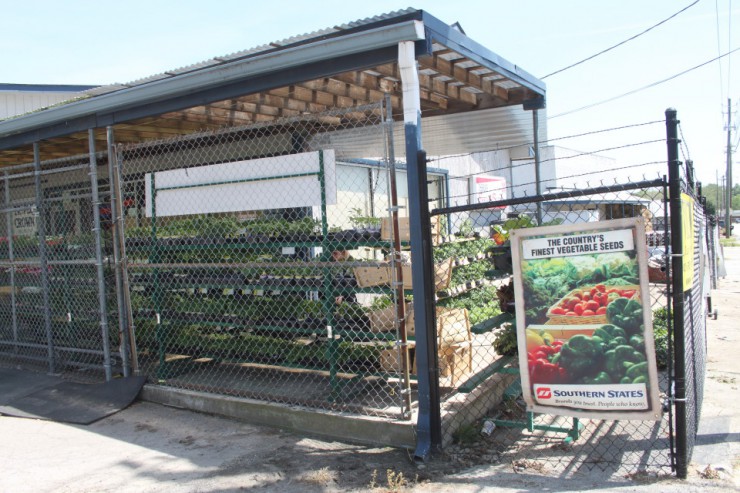 Cherokee Feed & Seed has two locations with Seeds and Plants - Gainesville and Ball Ground, GA