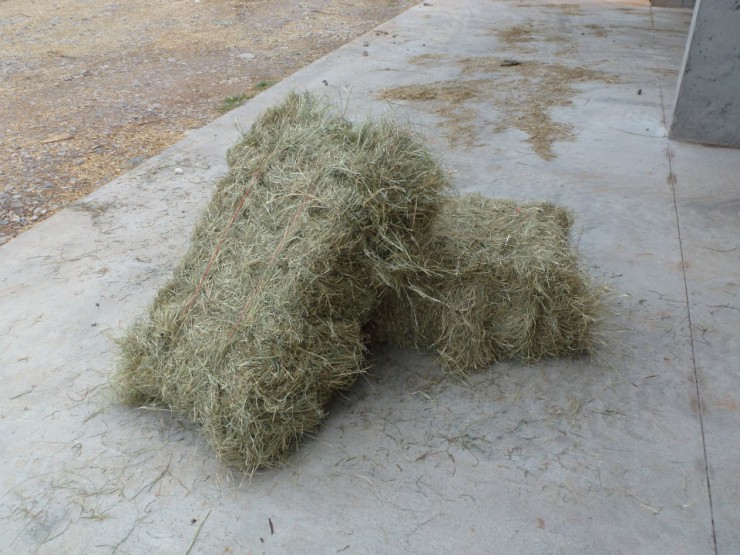 Coastal square hay bale at Cherokee Feed & Seed Ball Ground and Gainesville, GA