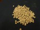 Deer feed and wildlife products are available at Cherokee Feed & Seed stores.