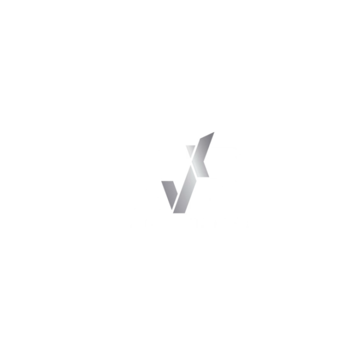 Next Level Logo