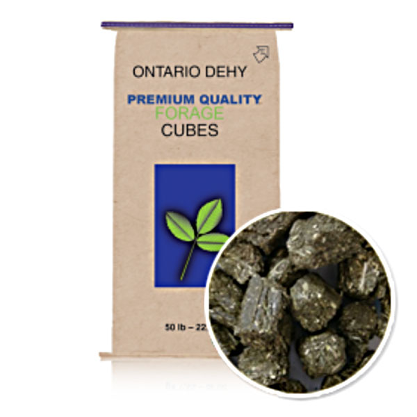 Hay Shortages & Horse Hay Forage Alternatives Triple Crown Ontario Dehydrated Timothy Balance Cubes 50 lb