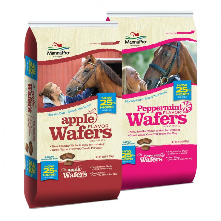 Apple & Peppermint Wafers Horse Treats
