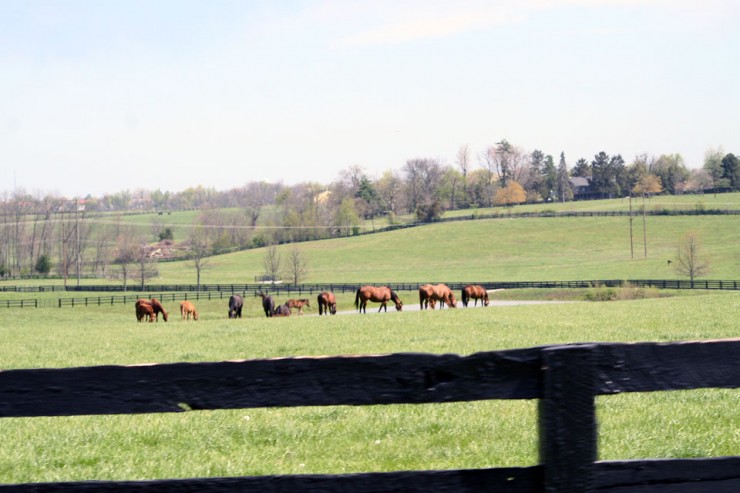 Pasture Seeding, Fertilizing & Liming Services from Cherokee Feed & Seed