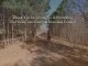 Thank you for joining the Cherokee County Equine Notification List