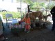 cherokee-feed-and-seed-gainseville-customer-appreciation-day20160416-223