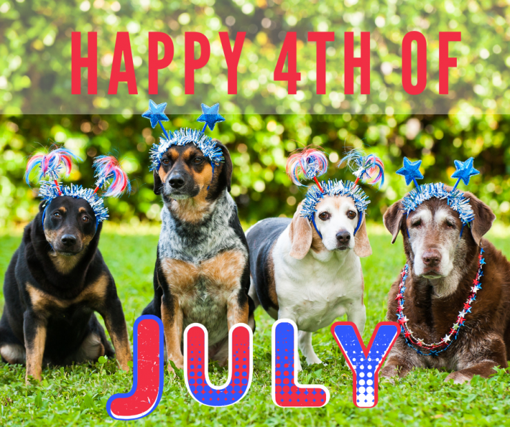 Top Ten Tips to Protect Your Animals on July 4th