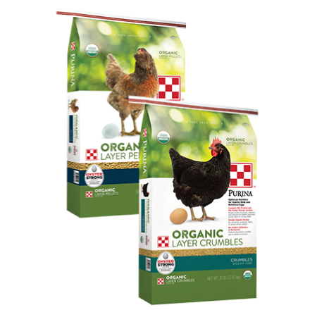 Purina Organic Layer Pellets and Crumbles. Two poultry feed bags.