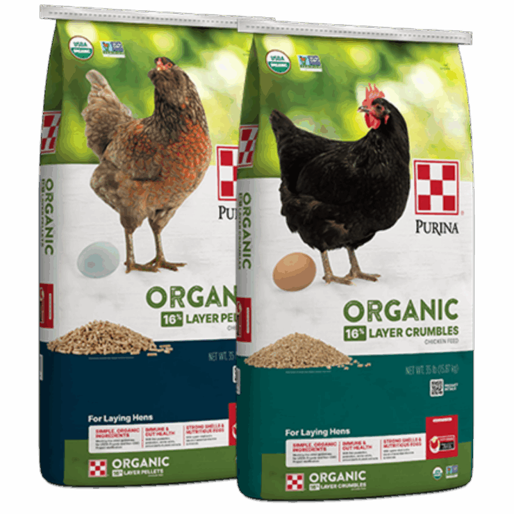 Purina Organic Layer Pellets and Crumbles. Two poultry feed bags.