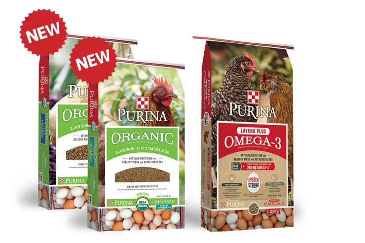 Find organic chicken feed from Purina Mills at Cherokee Feed & Seed stores.