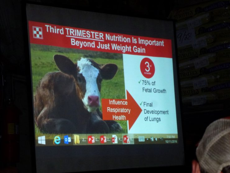 Purina Cattle Nutrition Seminar at Cherokee Feed & Seed in GA