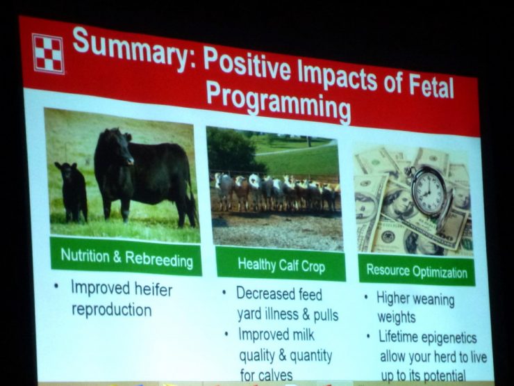 Purina Cattle Nutrition Seminar at Cherokee Feed & Seed in GA