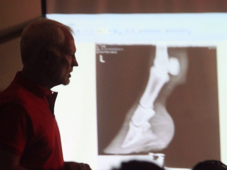 Jim Nash, DVM spoke about Lameness in Horses - x-ray