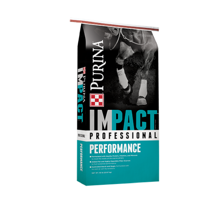Impact Professional Performance Horse Feed