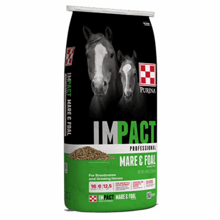 Purina Impact Professional Mare & Foal Horse Feed