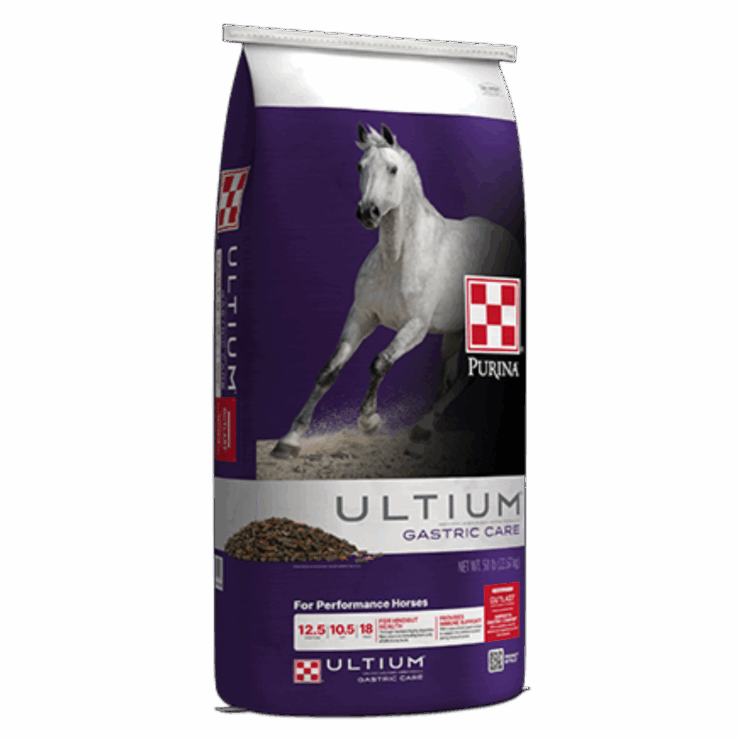 purple bag of Purina Ultium Gastric Care Horse Feed