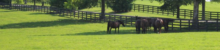 Fall is the best time to seed for lush green pastures