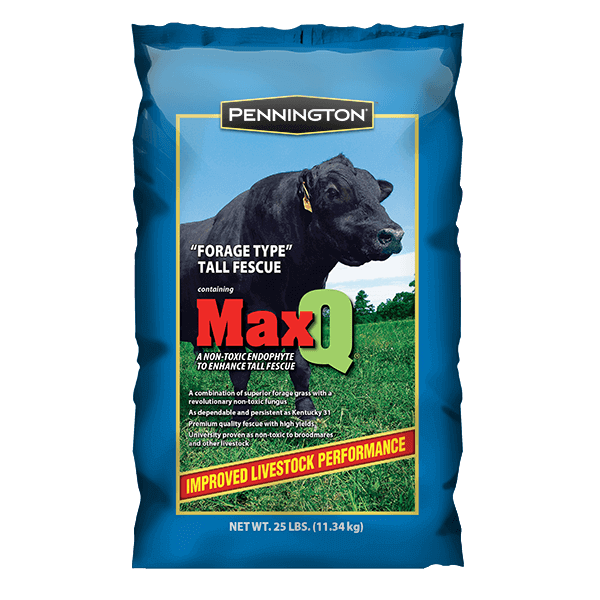 Pennington Jesup MaxQ Tall Fescue Seed - Cherokee Feed & Seed , GA