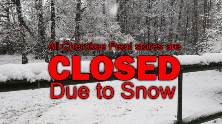 All Cherokee Feed & Seed Stores are closed due to snow - 20171208