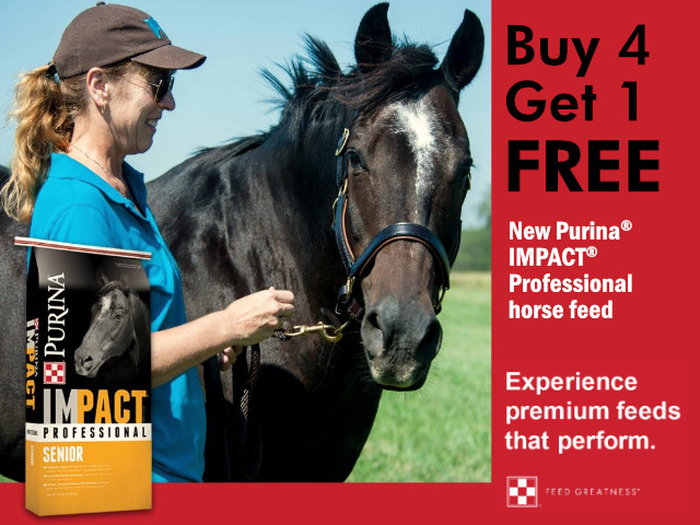 Buy One Get One FREE - Purina IMPACT Professional Horse Feed - Cherokee Feed & Seed - GA