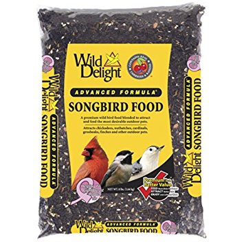 Songbird Food